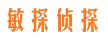 清新侦探